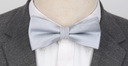 Мужской галстук-бабочка серо-серебристого цвета с изящными горошками