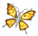 Motyl srebrna broszka z bursztynem