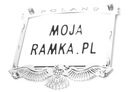 Ramka pod tablicę rejestracyjną na motocykl INOX!