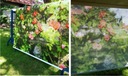 RÓŻANY MUR roleta balkonowa taras okno 116x150 Szerokość produktu 116 cm