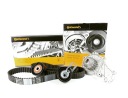 KIT DISTRIBUTEUR FORD/PSA 1.6 HDI 05- POMPEphoto 15