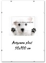 ANTYRAMA 50x100 cm RAMKA NA ZDJĘCIA 100x50, OBRAZ