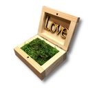 СВАДЕБНАЯ КОРОБКА ИЗ МОСА В РУСТИК БОХО