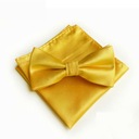 ГАЛСТУК-БАБОЧКА и КАРМАН КВАДРАТ, желтый носовой платок к костюму