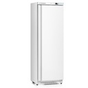 FORGAST ОКРАШЕННЫЙ МОРОЗИЛЬНЫЙ ШКАФ 360Л FG08035