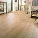 Panele podłogowe 12mm AC6 DĄB PRALINA Solid CHIC