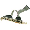 Śledź audio 100% OK 6sV