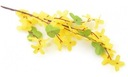 Forsycja twig желтые ветви Пасха до 51 см