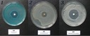 Неионогенное наноколлоидное серебро Ag 50 ppm, 1 литр