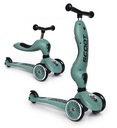 Лесной самокат SCOOTANDRIDE HighWayKick 2в1