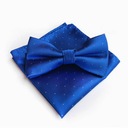 Элегантный галстук-бабочка и синий нагрудный платок в тон костюму.