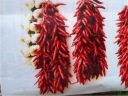 оригинальный балконный экран DRUK по размеру HERBS