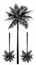 ТАТУ с пальмой Экзотическая кокосовая пальма ПЛЯЖ 172