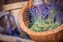 КОМПОСТНЫЙ СУБСТРАТ ПОЧВА ДЛЯ ЛАВАНДЫ КЛЕМАТИС КЛЕМАТИС САМШИТ ЛИЛИЯ