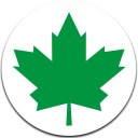 GREEN LEAF ДЛЯ МОЛОДОГО ВОДИТЕЛЯ СИЛЬНЫЙ МАГНИТ!