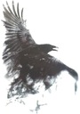 Наклейка-тату ворон Ворон Черная птица TM64