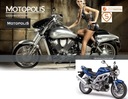 SUZUKI SV 1000 2003 - 2007 - АВАРИЙНЫЕ НАКЛАДКИ ТВЕРДЫЕ