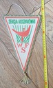 Вымпел БАСКЕТБОЛЬНОЙ СЕКЦИИ WSE в Лодзи