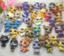 FIGURKI LPS LITTLEST PET SHOP JAMNIK SPANIEL 10SZT Marka inna