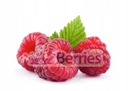 Organic Raspberry Juice 100% Органический малиновый сок 250мл