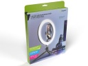 2× PHARE CIRCULAIRE TRACER AVEC MINI STATYWEM 26CMphoto 13