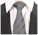 Мужской жаккардовый галстук в полоску, серый STEEL RC03