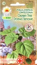 PAULOWNIA OMSZONA DRZEWO TLENOWE- CESARSKIE DRZEWO