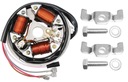 SIMSON STATOR 6V ПЛАТИНОВЫЙ ВЫКЛЮЧАТЕЛЬ