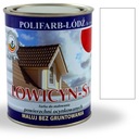 Lowicyn Sx farba na dach BIAŁY RAL9003 POŁYSK 10L