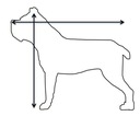 Legowisko ortopedyczne dla psa XL 110x90 łóżko wodoodporne kanapa posłanie Rozmiar XL