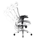 Ergonomické kancelárske kreslo do pracovne Diablo V-Basic: bielo-šedá Farba korpusu biela