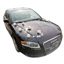 ОТДЕЛКА АВТОМОБИЛЯ, СВАДЕБНЫЕ АВТОМОБИЛИ, ВЫБОР ЦВЕТА