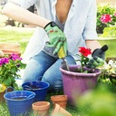 Záhradnícke rukavice pre ženy Outdoor Ochranné S EAN (GTIN) 6911303633946