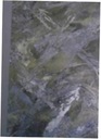 Политика Тигодник № 1-13 с 2004 года
