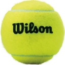 Tenisové loptičky Wilson Championship Extra komplet 3ks tenis zemný Farba lopty zelená (1. fáza)
