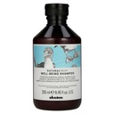 Davines Naturaltech Well-Being увлажняющий шампунь