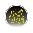 SANIDENN ТАБЛЕТКИ БАКТЕРИИ ДЛЯ ОЧИСТНЫХ УСТАНОВОК ДЛЯ СНЯТИЯ ЖИРА 96 4