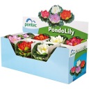 Pontec PondoLily Кувшинки плавающие 4 шт - микс.