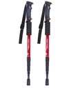 KIJKI NORDIC WALKING TREKKINGOWE DO CHODZENIA KIJE Z KOMPASEM + 3 NAKŁADKI Długość regulowana 65-135 cm