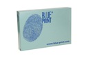 FILTRO AIRE BLUE PRINT ADA102254 