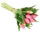 TULIPÁNY KYTICA TULIPÁNOV POGUMOVANÉ GUMOVÉ SILIKÓNOVÉ AKO ŽIVÉ 7KS Typ tulipán