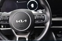 Kia Sportage 1.6 T-GDI HEV Business Line 2WD aut Suv 215KM 2024 Liczba drzwi 4/5