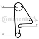 CONTINENTAL CT1082 CORREA DISTRIBUCIÓN 