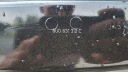 AUDI Q3 8U0 PORTES DROIT AVANTphoto 13