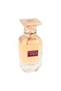 Afnan Violet Bouquet parfumovaná voda pre ženy 80 ml Kód výrobcu 6290171040675