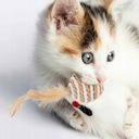 Kitten Toys Cat Stick Kryty Koty do żucia Rodzaj inne