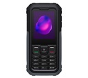 TCL 3189 LTE ​​Мобильный телефон с двумя SIM-картами Серый