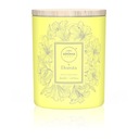 СВЕЧА ДОРОТА ШЕЛЬГОВСКА БАЗИЛИК ВЕРБЕНА СВЕЧА