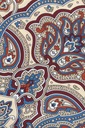 Красочный нагрудный платок с узором Lancerto M.882