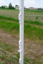 ЛЕГКИЙ кол для овчарки - 136 см, белый, 10 шт.